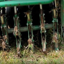 Core aerator pulling soil plugs from a lawn