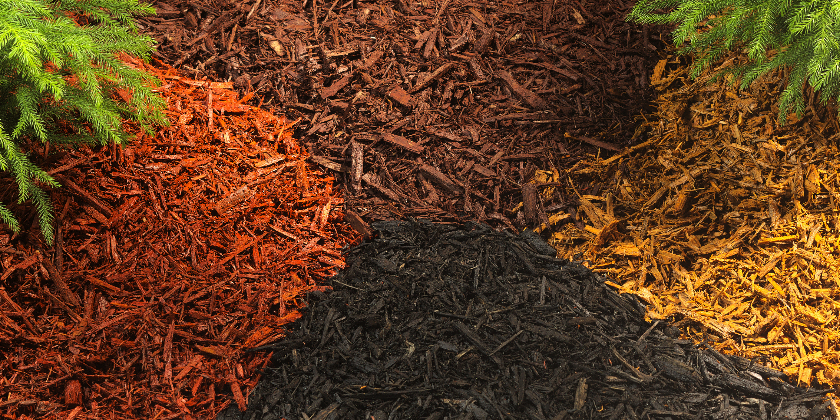Different varieties of colored mulch options