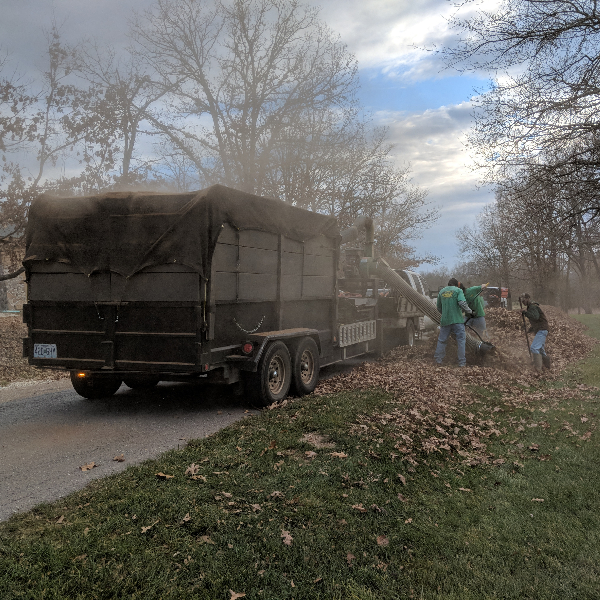 Professional leaf cleanup crew clearing a residential yard