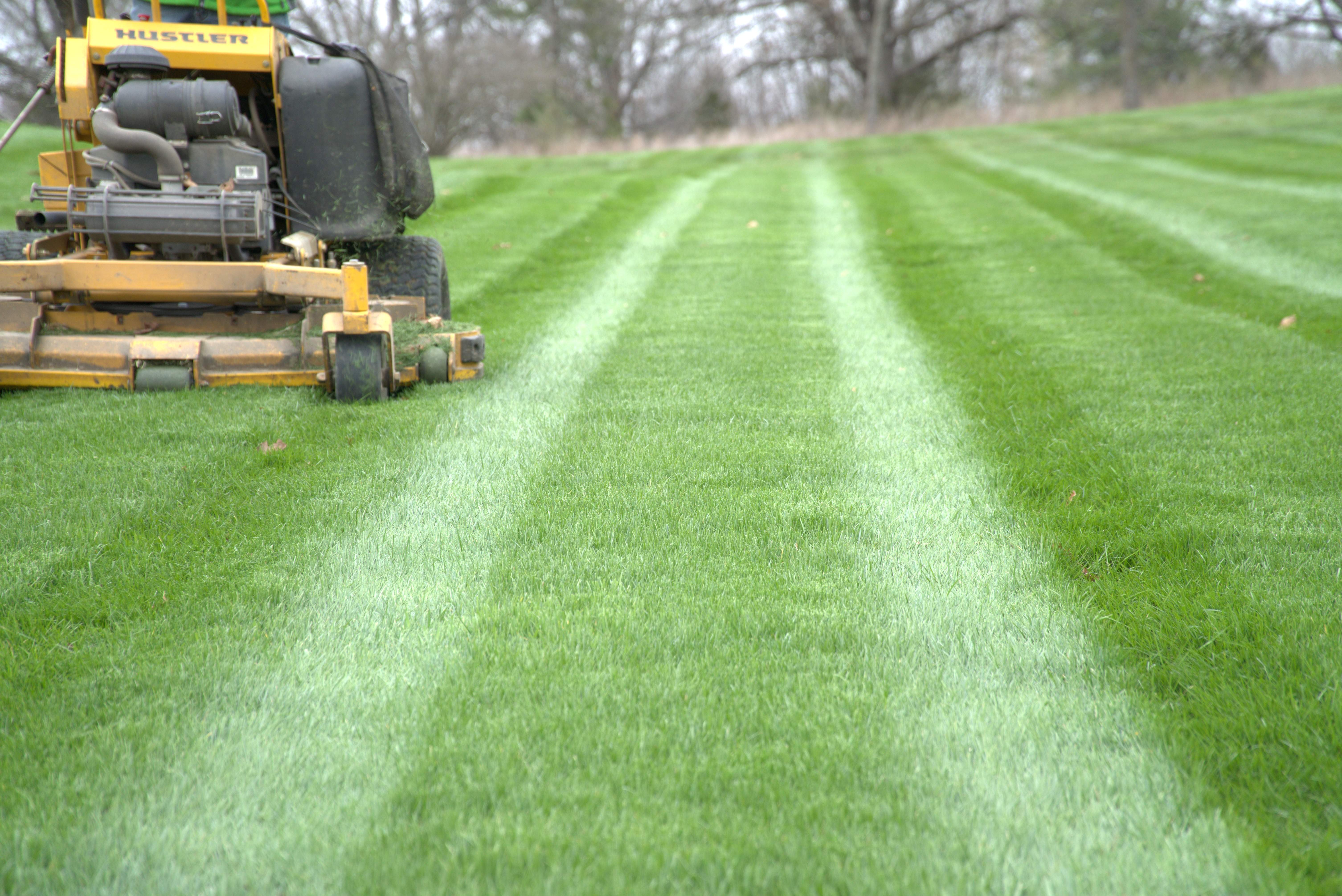 Low angle view of mower deck creating clean stripes on a lawn